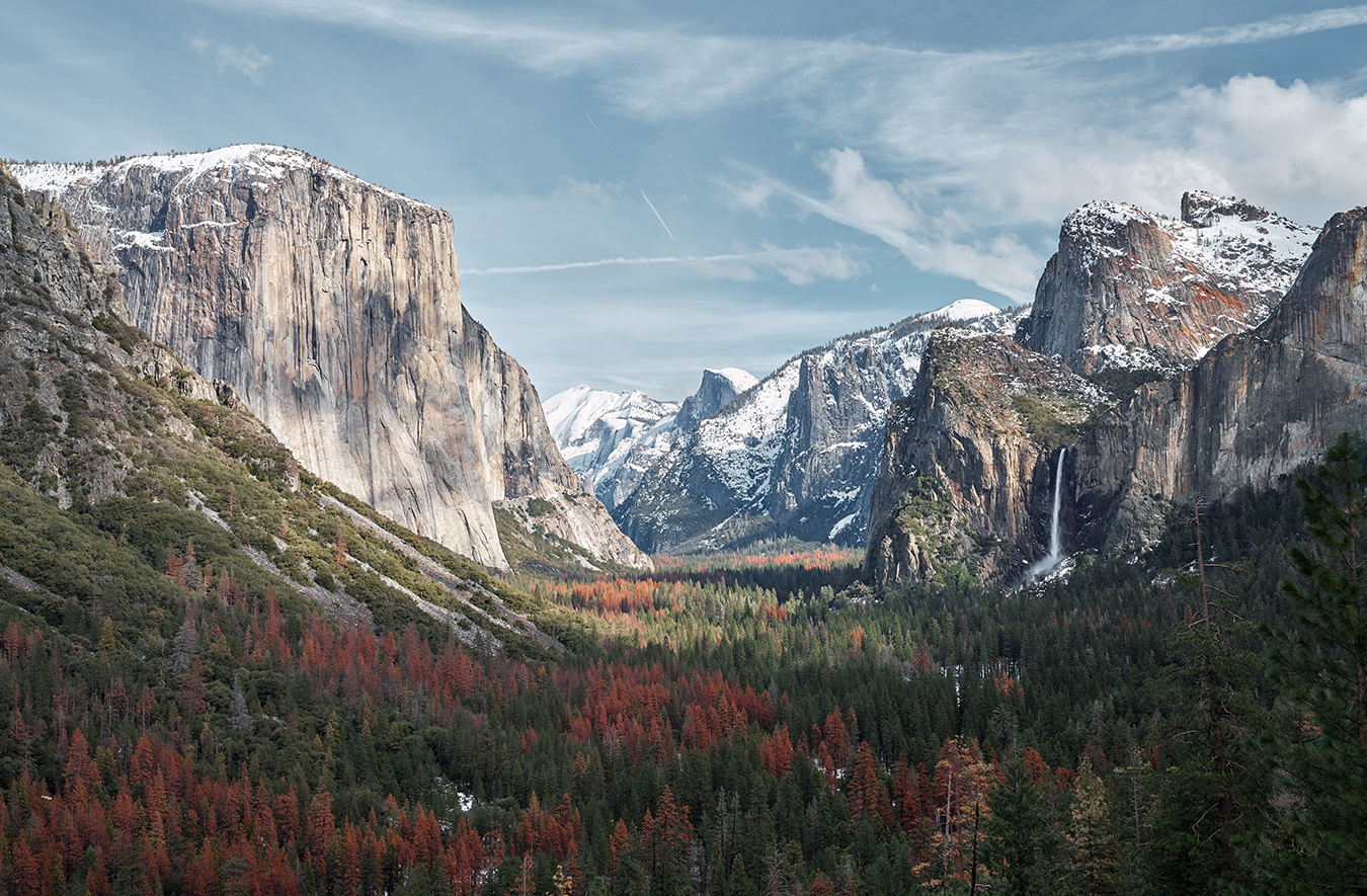 Climbing with Alex Honnold in Yosemite National Park's image